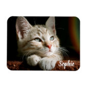 ペットフォトブロック マグネット (横)