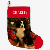ペットフォトホリデー スモールクリスマスストッキング (正面)