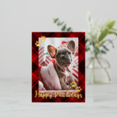 ペットフォトレ素朴ッドプレイドハッピーパウィーデイズ金ゴールド 箔シーズンポストカード (立ち正面)