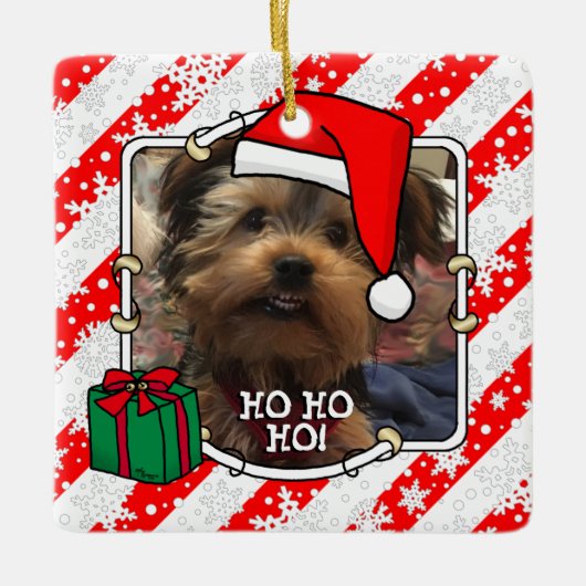 ペットフォト初めてのクリスマスサンタ帽子HO HO HO CUTE セラミックオーナメント (正面)