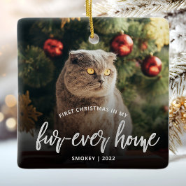 ペットフォト初めてのクリスマスフォーエバーホームシルバー セラミックオーナメント