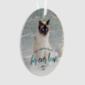 ペットフォト初めてのクリスマスフォーエバーホームティール(緑がかった色)グリーン オーナメント (正面)