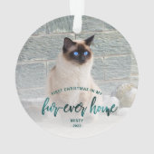 ペットフォト初めてのクリスマスフォーエバーホームティール(緑がかった色)グリーン オーナメント (裏面)