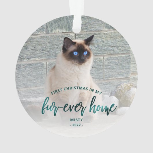 ペットフォト初めてのクリスマスフォーエバーホームティール（緑がかった色）グリーン オーナメント (裏面)
