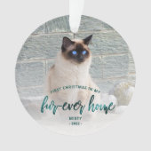 ペットフォト初めてのクリスマスフォーエバーホームティール(緑がかった色)グリーン オーナメント (正面)