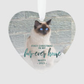 ペットフォト初めてのクリスマスフォーエバーホームティール(緑がかった色)グリーン オーナメント (正面)