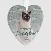 ペットフォト初めてのクリスマスフォーエバーホームティール(緑がかった色)グリーン オーナメント (正面)