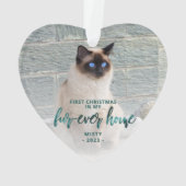 ペットフォト初めてのクリスマスフォーエバーホームティール(緑がかった色)グリーン オーナメント (裏面)