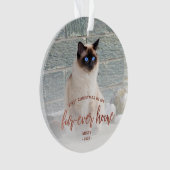 ペットフォト初めてのクリスマスフォーエバーホームバラ金ゴールド オーナメント (正面)