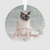 ペットフォト初めてのクリスマスフォーエバーホームバラ金ゴールド オーナメント (裏面)