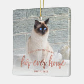 ペットフォト初めてのクリスマスフォーエバーホームバラ金ゴールド セラミックオーナメント (左)