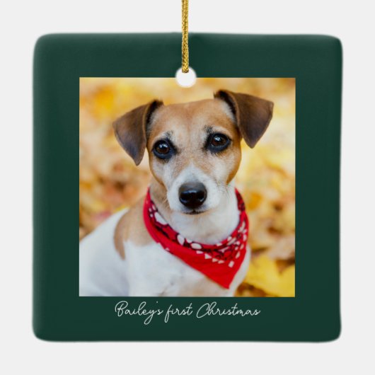 ペットフォト初めてのクリスマス名 セラミックオーナメント (裏面)