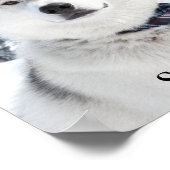 ペットフォト名プリント、バリューポスター紙（マット） ポスター (角)