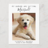 ペットフォト婚約日付の保存 案内ポストカード (正面)