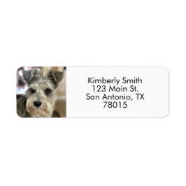 ペットフォト差出人住所 ラベル