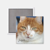 ペットフォト手書きスクリプト マグネット (正面/裏面)