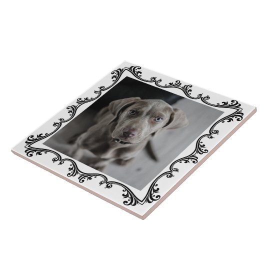 ペットフォト装飾品 タイル (側面)
