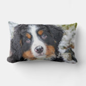 ペットフォパーソナライズされたトドッグ愛人記念記念キープサケ ランバークッション (正面)