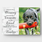 ペットフォパーソナライズされたトドッグ記念碑 フォトプラーク (正面)