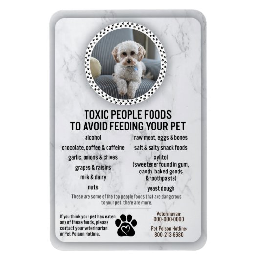 ペットフードの安全性を避けるために危険な人々の食品 マグネット (縦)