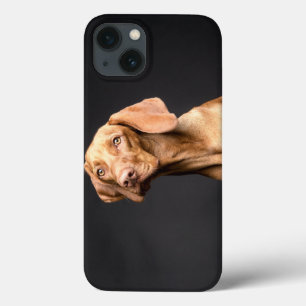 ペットブラウンビーグルドッグ iPhone 13ケース