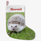 ペットヘッジホッグ愛人の写真と名前パーソナライズされた スモールクリスマスストッキング (正面)