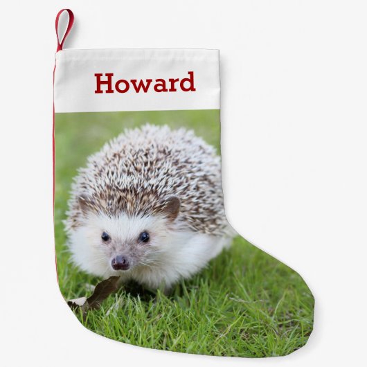 ペットヘッジホッグ愛人の写真と名前パーソナライズされた スモールクリスマスストッキング (正面)