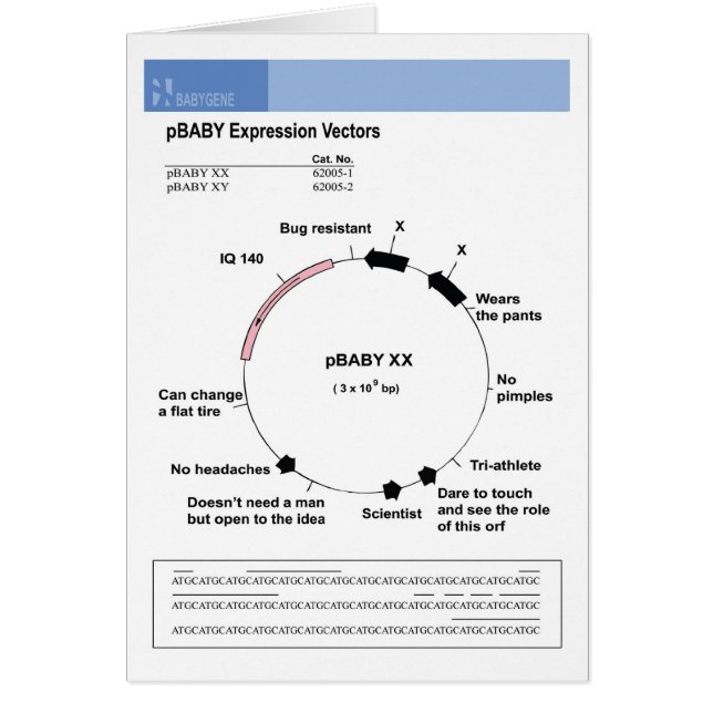 ペットベビーの女の子 (正面)
