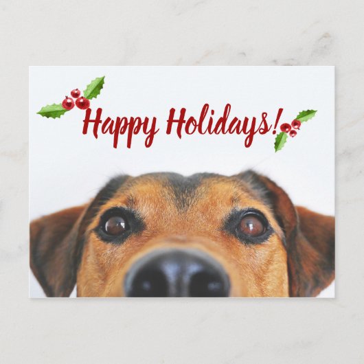 ペットホリデー写真 シーズンポストカード (正面)