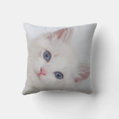 ペットポートレートテンプレート クッション (裏面)