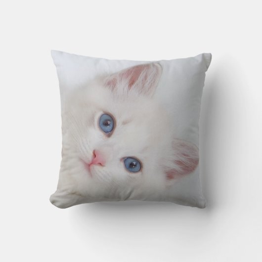 ペットポートレートテンプレート クッション (正面)