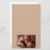 ペットポートレート犬のブラウンのピットブルの顔のスケッチ 便箋 (正面/裏面)