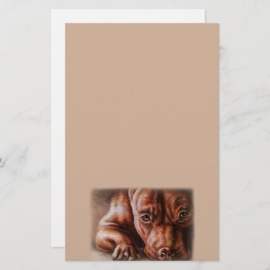 ペットポートレート犬のブラウンのピットブルの顔のスケッチ 便箋 (正面/裏面)