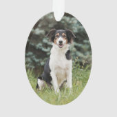 ペットポープリントパーソナライズされた金ゴールドペット名写真 オーナメント (裏面)