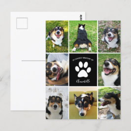 ペットメモリアルカスタム犬コラージュ 愛する記憶に ポストカード