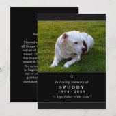 ペットメモリアルカード5 x 7ブラックフォトペットの祈りの言葉 案内状 (正面/裏面)