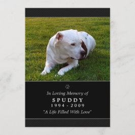 ペットメモリアルカード5 x 7ブラックフォトペットの祈りの言葉 案内状