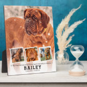 ペットメモリアルギフト - 犬 猫の死 4枚の写真コラージュ フォトプラーク (側面)