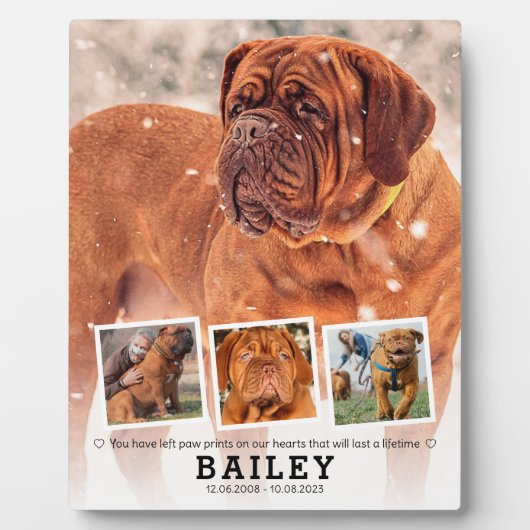 ペットメモリアルギフト - 犬 猫 喪失 4枚の写真コラージュ フォトプラーク (正面)