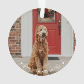 ペットメモリアルポープリントフォトオーナメント オーナメント (裏面)