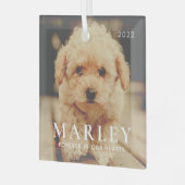 ペットメモリアル永遠ハートシンプルエレガント写真 ガラスオーナメント (正面左)