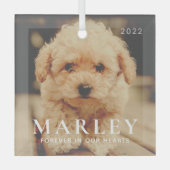 ペットメモリアル永遠ハートシンプルエレガント写真 ガラスオーナメント (正面)