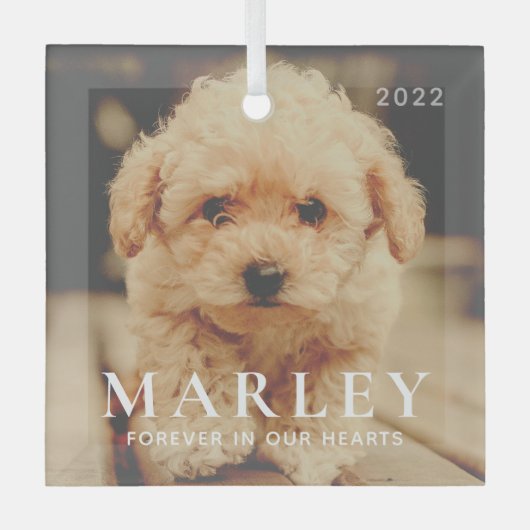 ペットメモリアル永遠ハートシンプルエレガント写真 ガラスオーナメント (正面)
