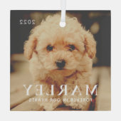 ペットメモリアル永遠ハートシンプルエレガント写真 ガラスオーナメント (裏面)