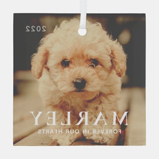 ペットメモリアル永遠ハートシンプルエレガント写真 ガラスオーナメント (裏面)