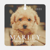 ペットメモリアル永遠ハートシンプルエレガント写真 メタルオーナメント (裏面)