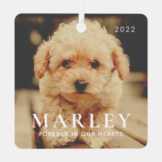 ペットメモリアル永遠ハートシンプルエレガント写真 メタルオーナメント (裏面)