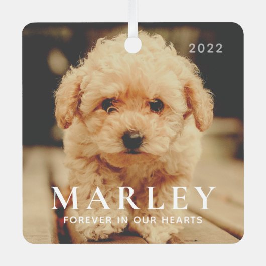 ペットメモリアル永遠ハートシンプルエレガント写真 メタルオーナメント (正面)