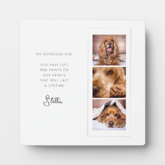 ペットメモリアル3枚写真コラージュ追悼名言 フォトプラーク (正面)
