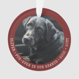 ペットメモリーキャットドッグフォーエバーパーソナライズされたト オーナメント